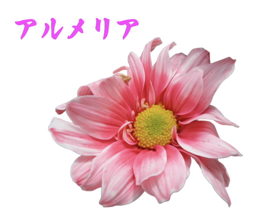 ジャケ写